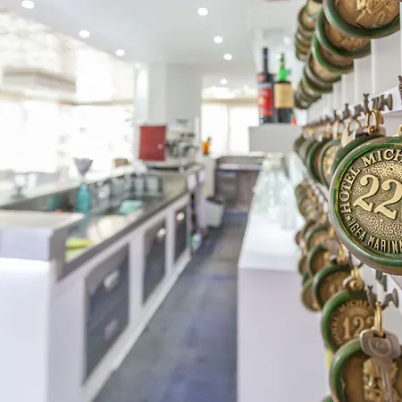 Hotell Michelangelo Bellaria-Igea Marina